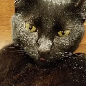 Meet your Posher, Mike